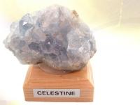 Ref-109  Clestine
